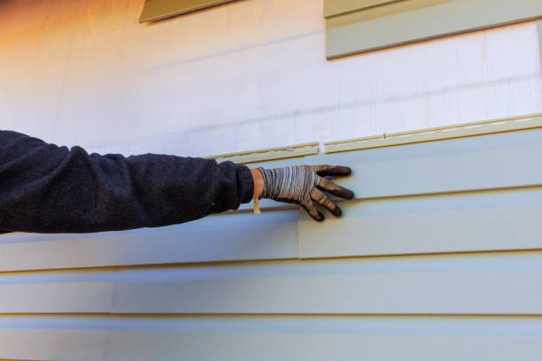 Reliable Matteson, IL Siding Installation & Repair Solutions